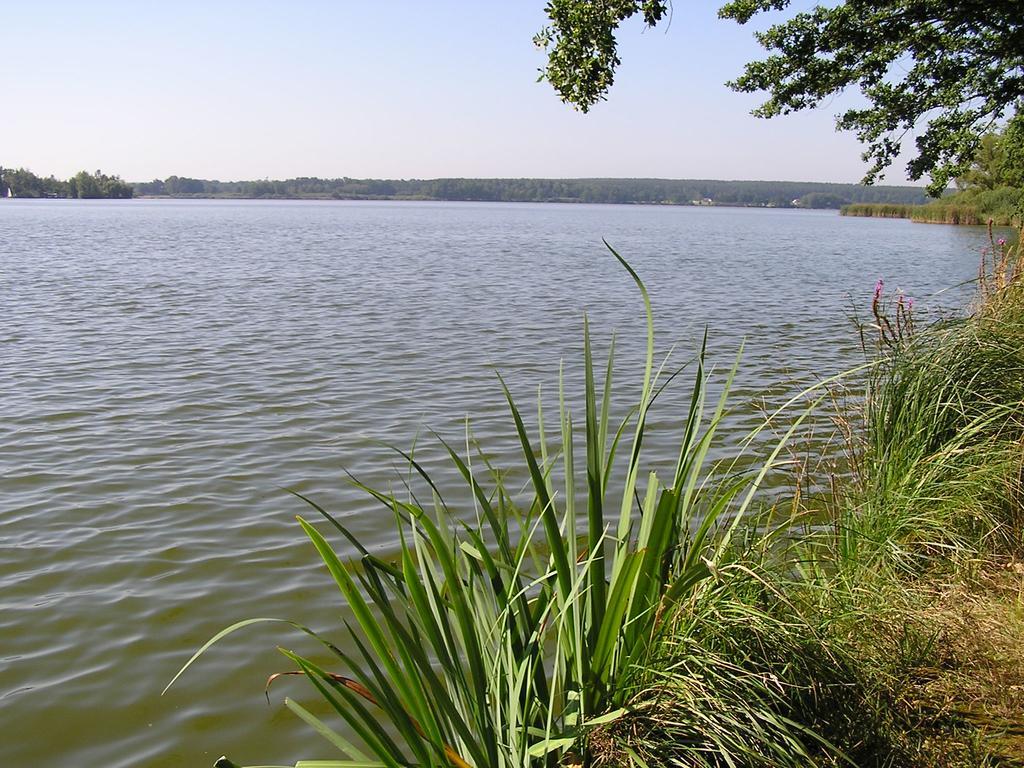 Apartment Třeboň Szoba fotó